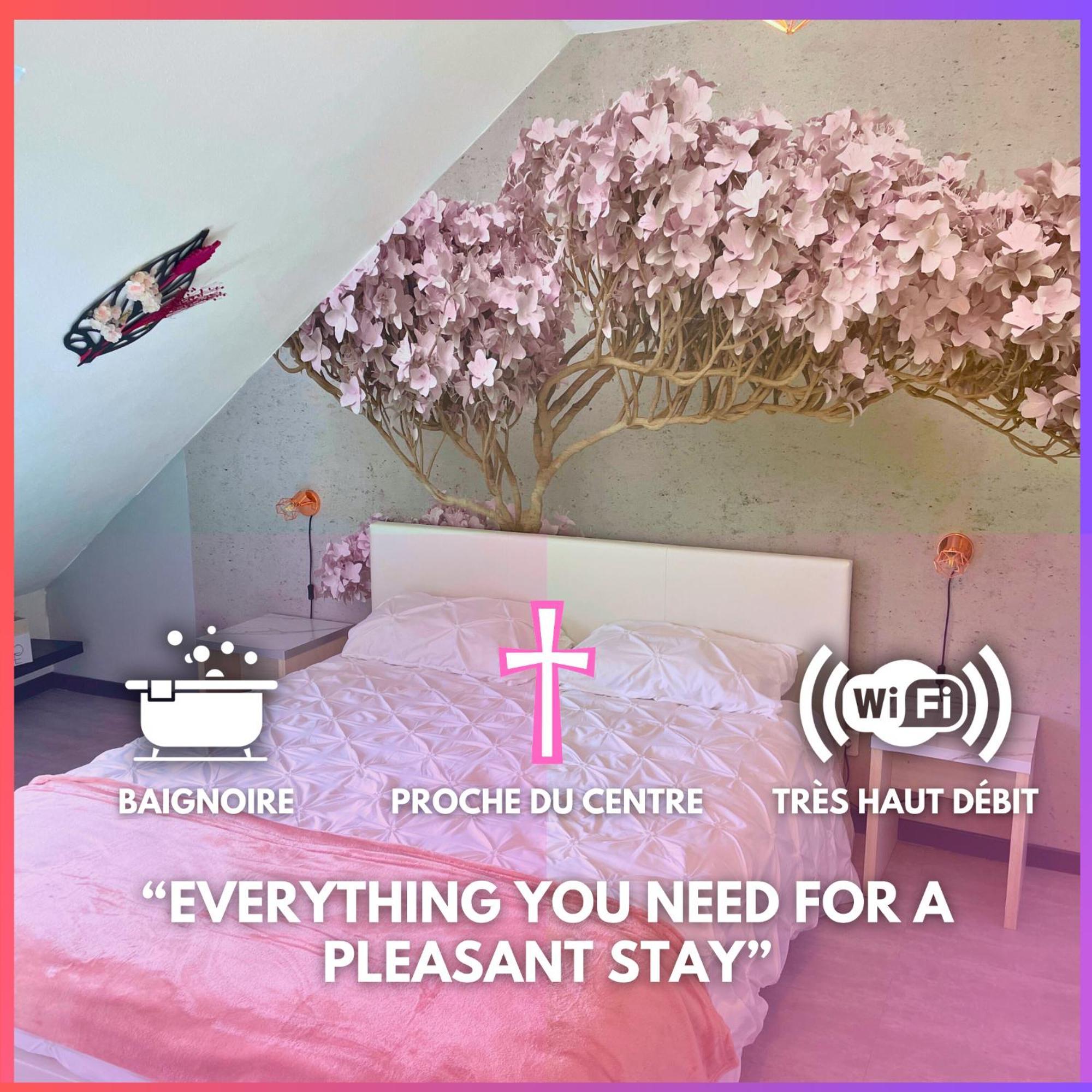 Apartment Reve Rose Equipe, Wifi, Vue Lourdes