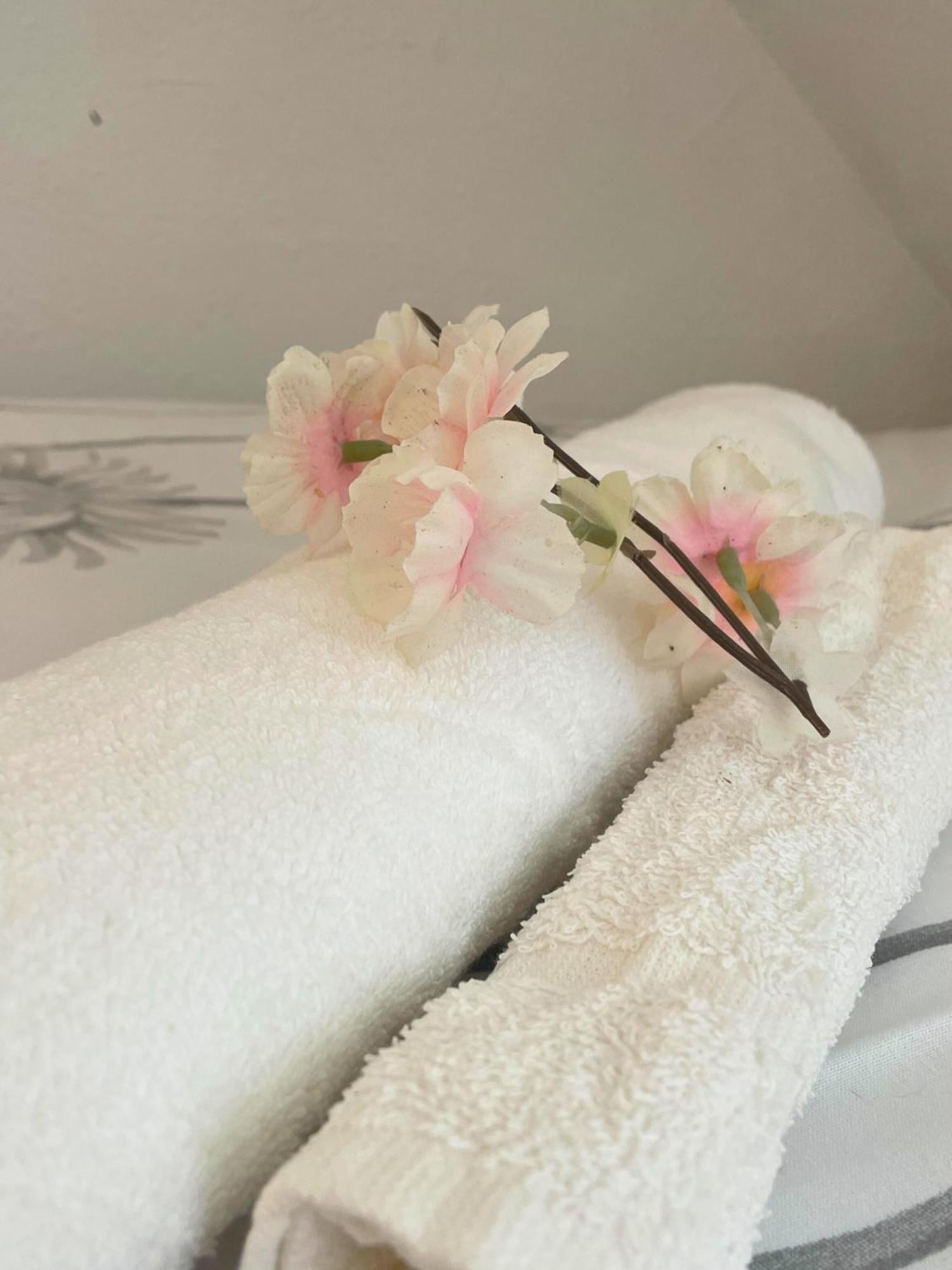 Apartment Reve Rose Equipe, Wifi, Vue Lourdes