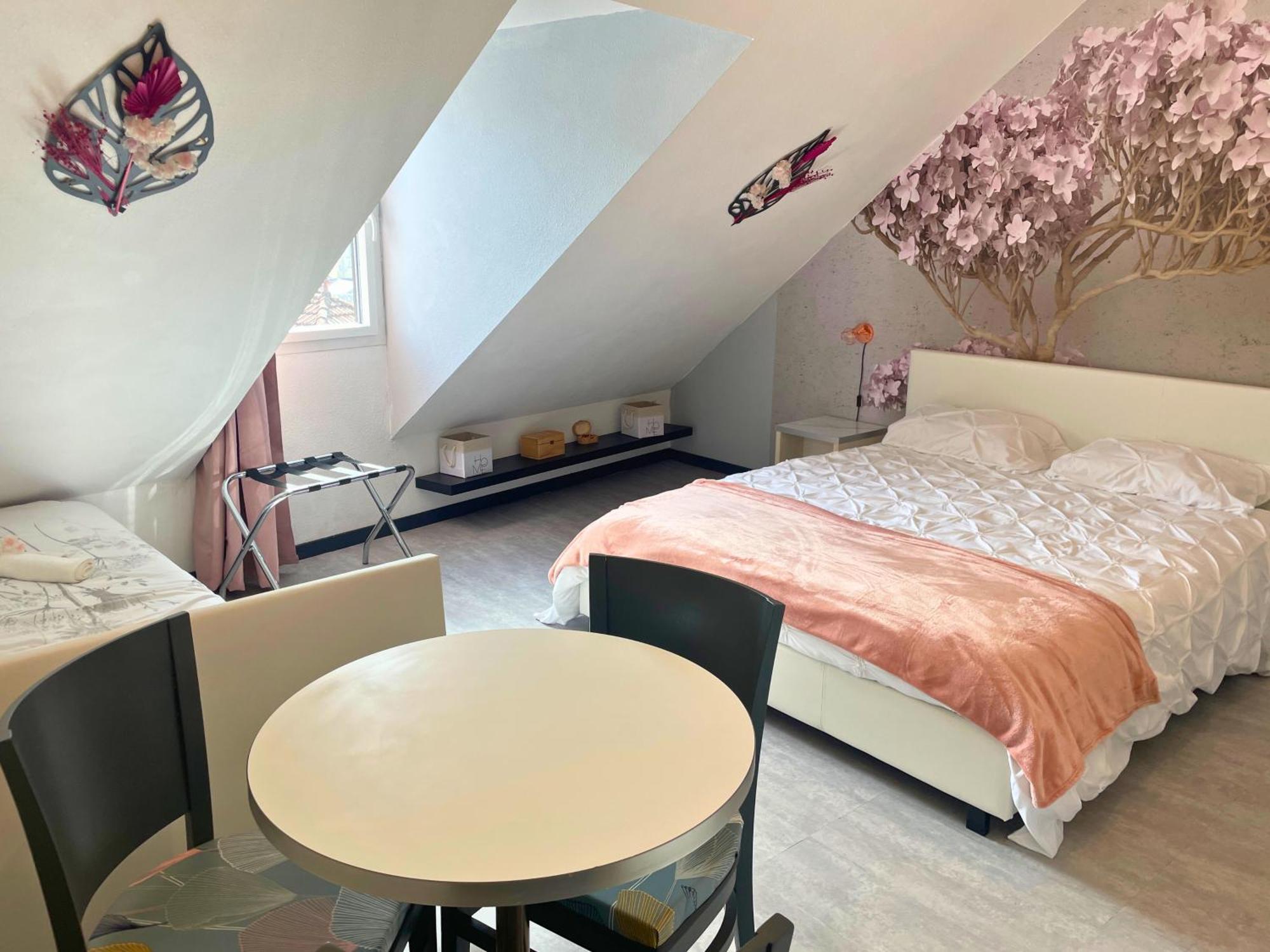 Reve Rose Equipe, Wifi, Vue Lourdes
