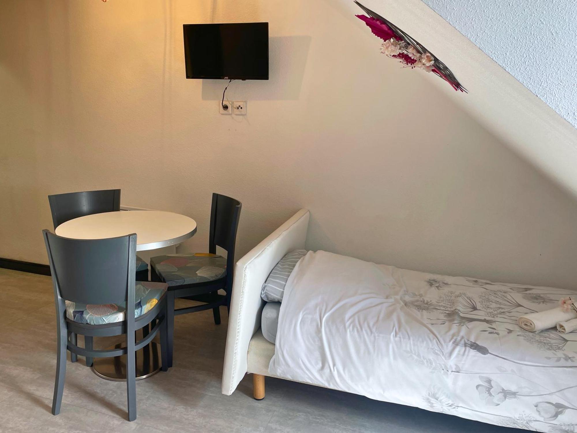 Apartment Reve Rose Equipe, Wifi, Vue Lourdes