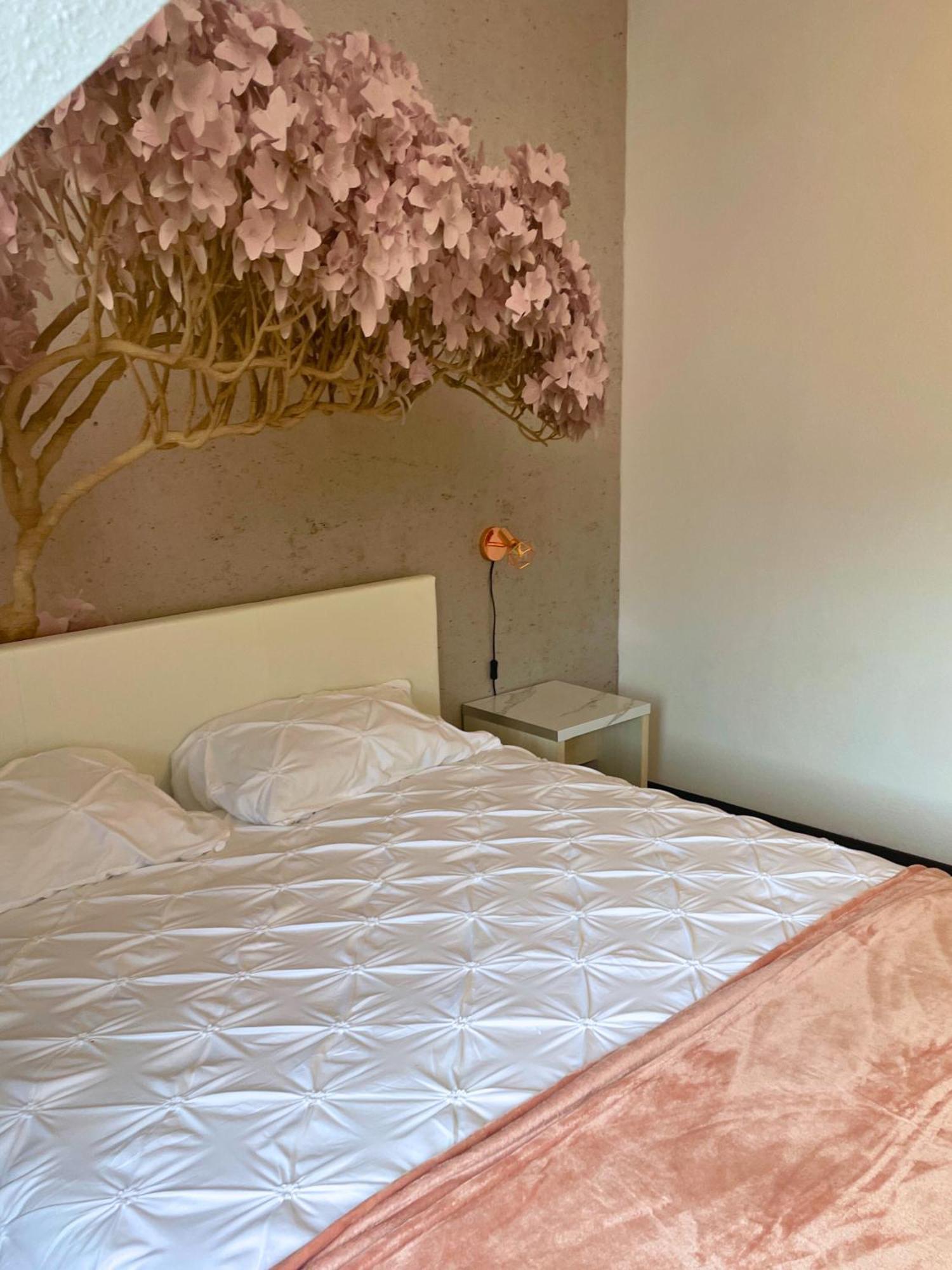 Apartment Reve Rose Equipe, Wifi, Vue